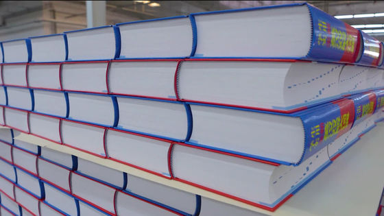 3ph Spannung Doppel-Tiefen-Palettenregal-System für Schwerlast-Speicher Hardcover-Buch-Zwischenstapelstapel-Maschine